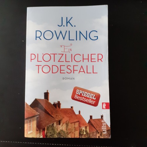 Roman ein plötzlicher - roman,
